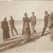 Page_23_2 Killing sharks, Egypt 1910